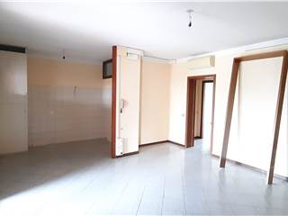 Apri Galleria Immagini