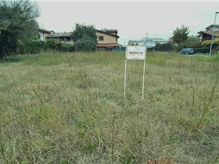 Apri Galleria Immagini